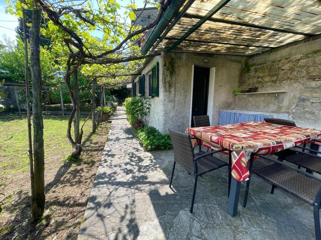 Apartment Lobster Levanto